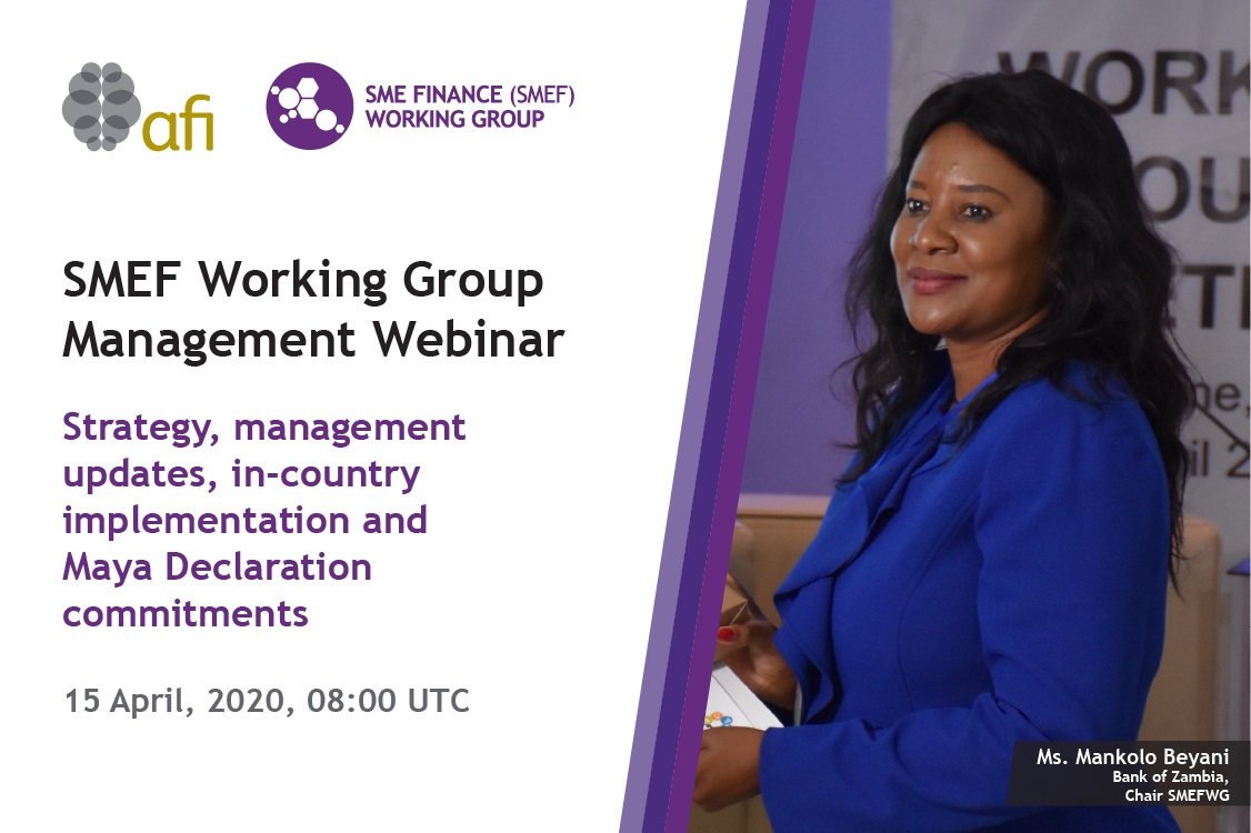 SMEF Management Webinar Web.jpg