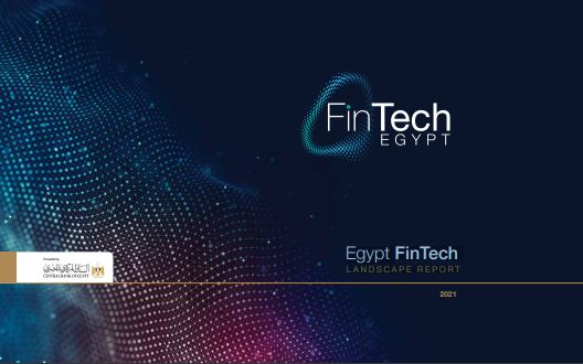 Egypt FinTech Landscape Report - Alliance for Financial Inclusion