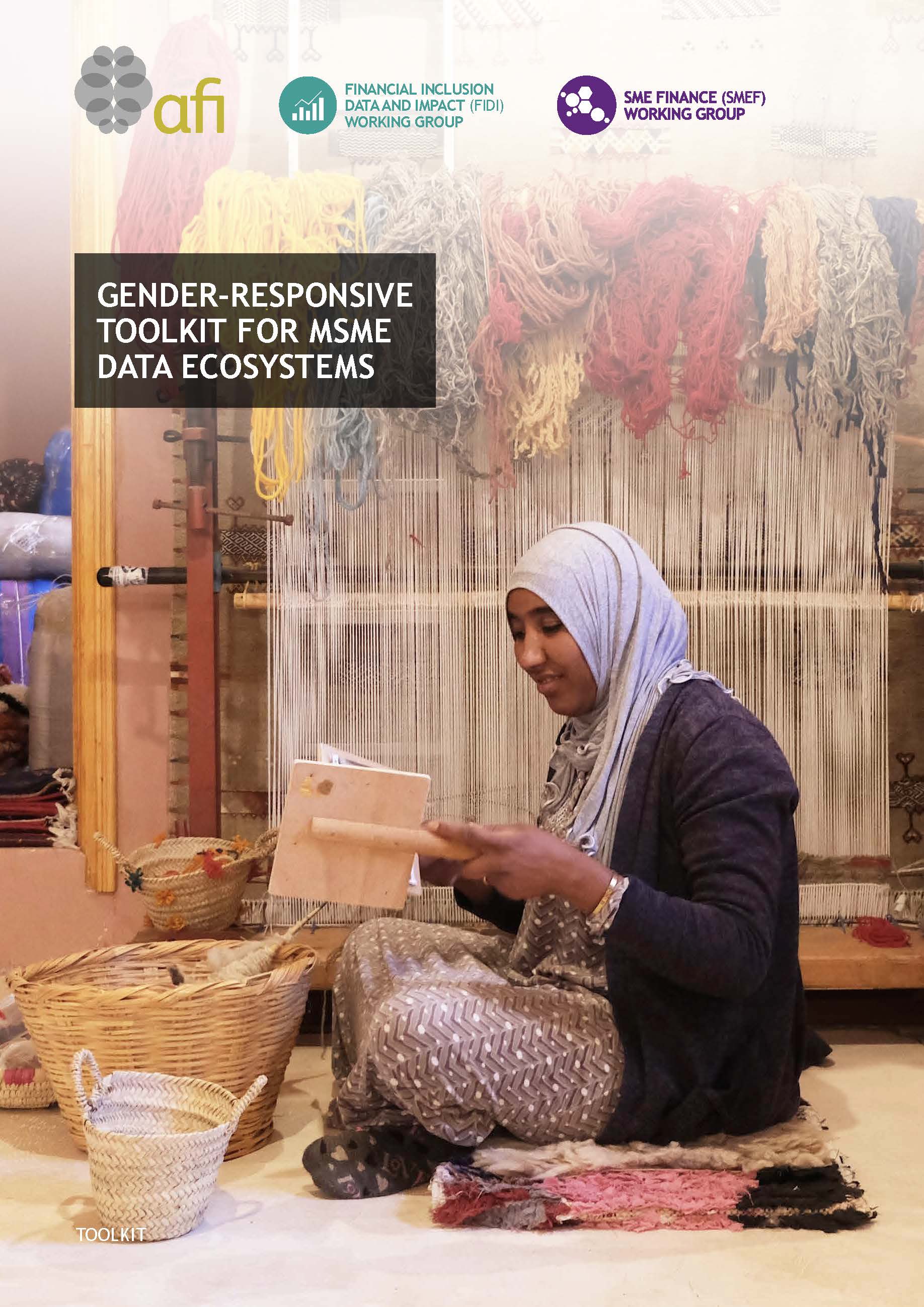 Gender-Responsive Toolkit for MSME Data Ecosystems
