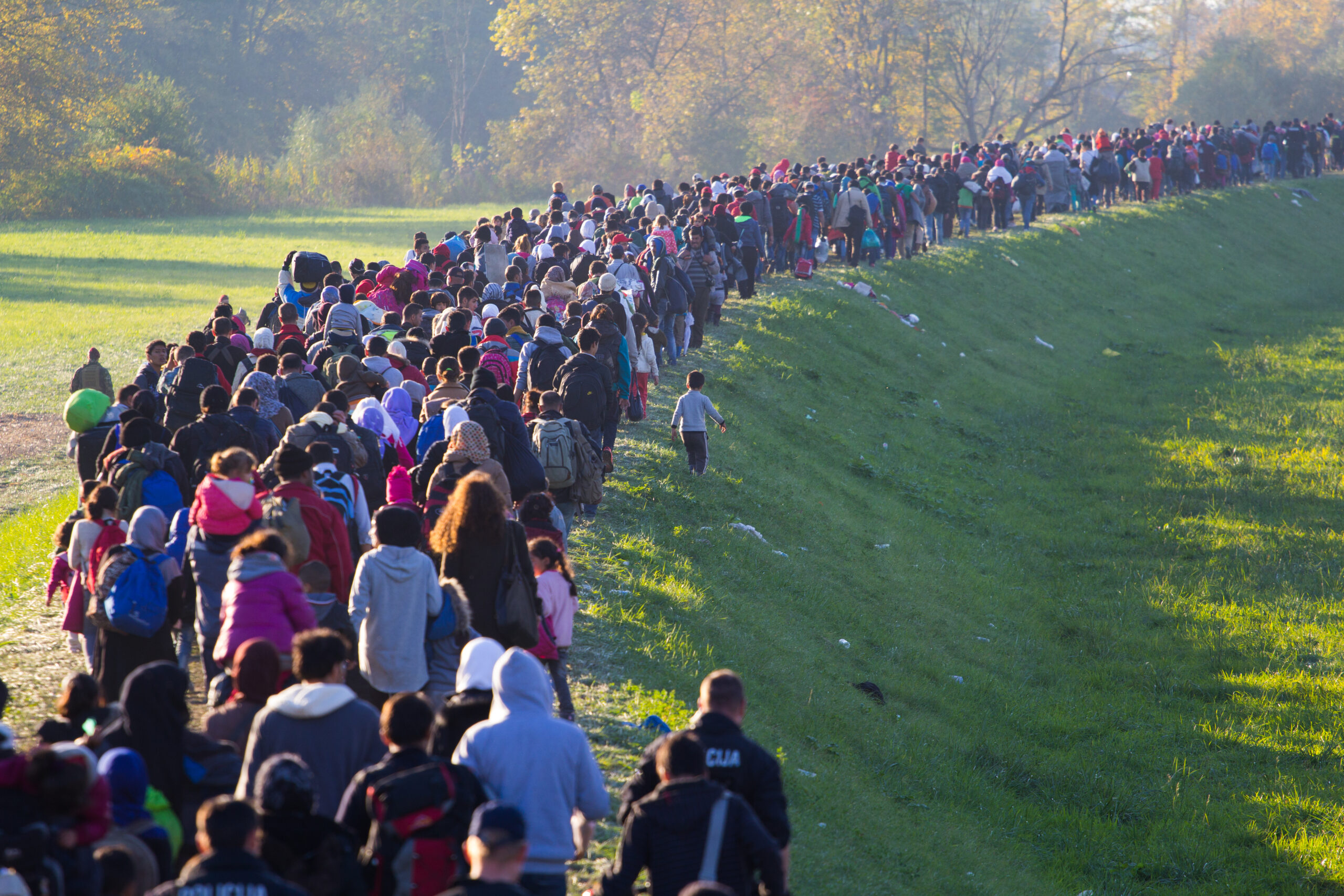 AFI Marks 2026 Word Refugee Day